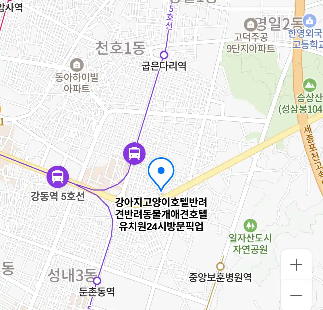 강아지고양이호텔반려견반려동물개애견호텔유치원24시방문픽업 위치