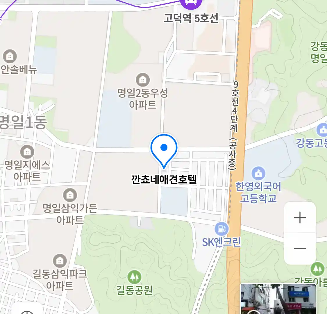 깐쵸네애견호텔 위치