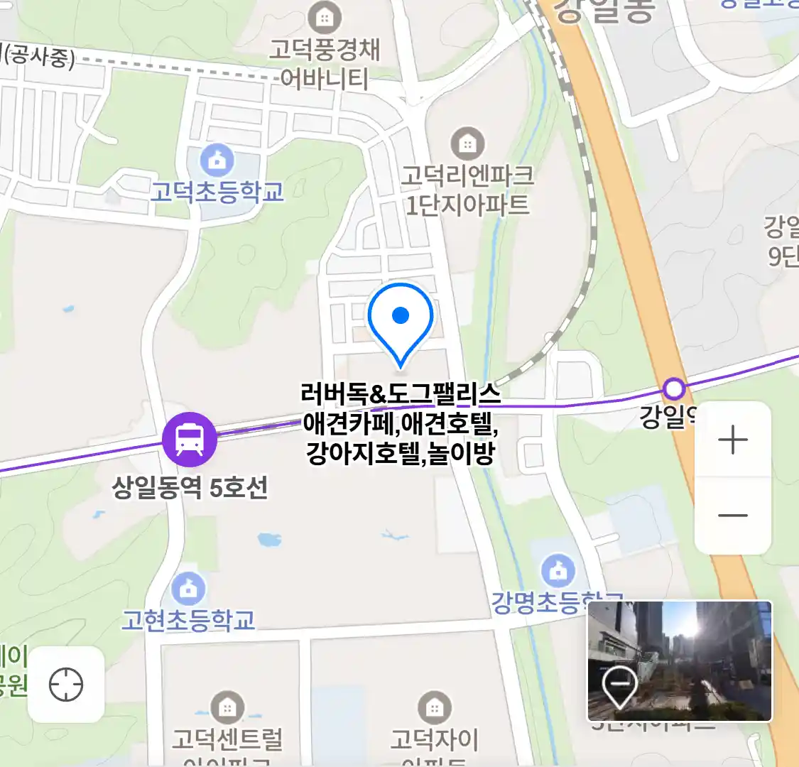 러버독&도그팰리스 위치