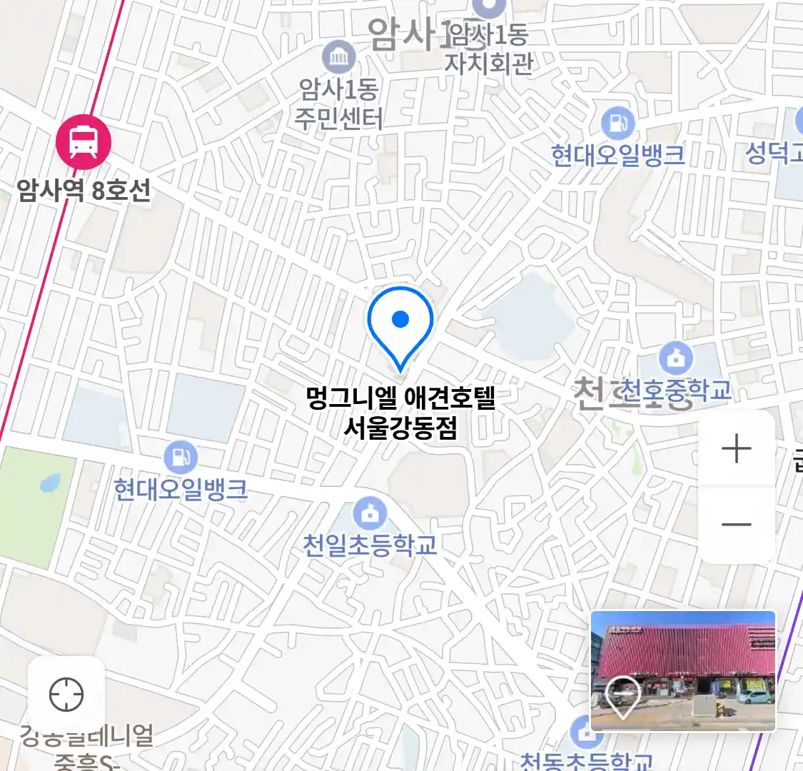 멍그니엘 애견호텔 서울강동점 위치