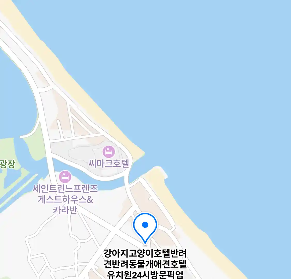 강아지고양이호텔반려견반려동물개애견호텔유치원24시방문픽업 위치