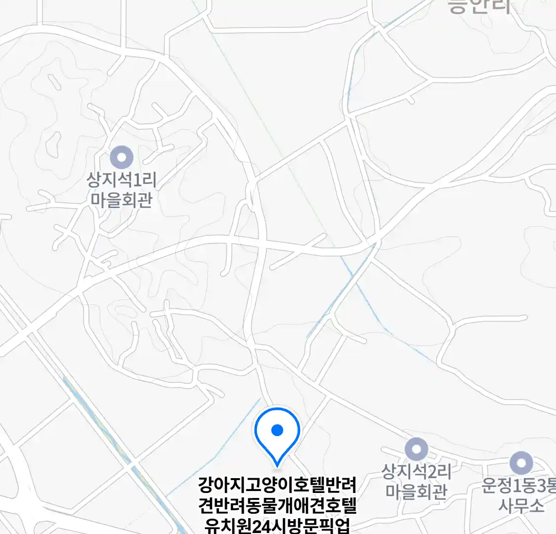 강아지고양이호텔반려견반려동물개애견호텔유치원24시방문픽업 위치