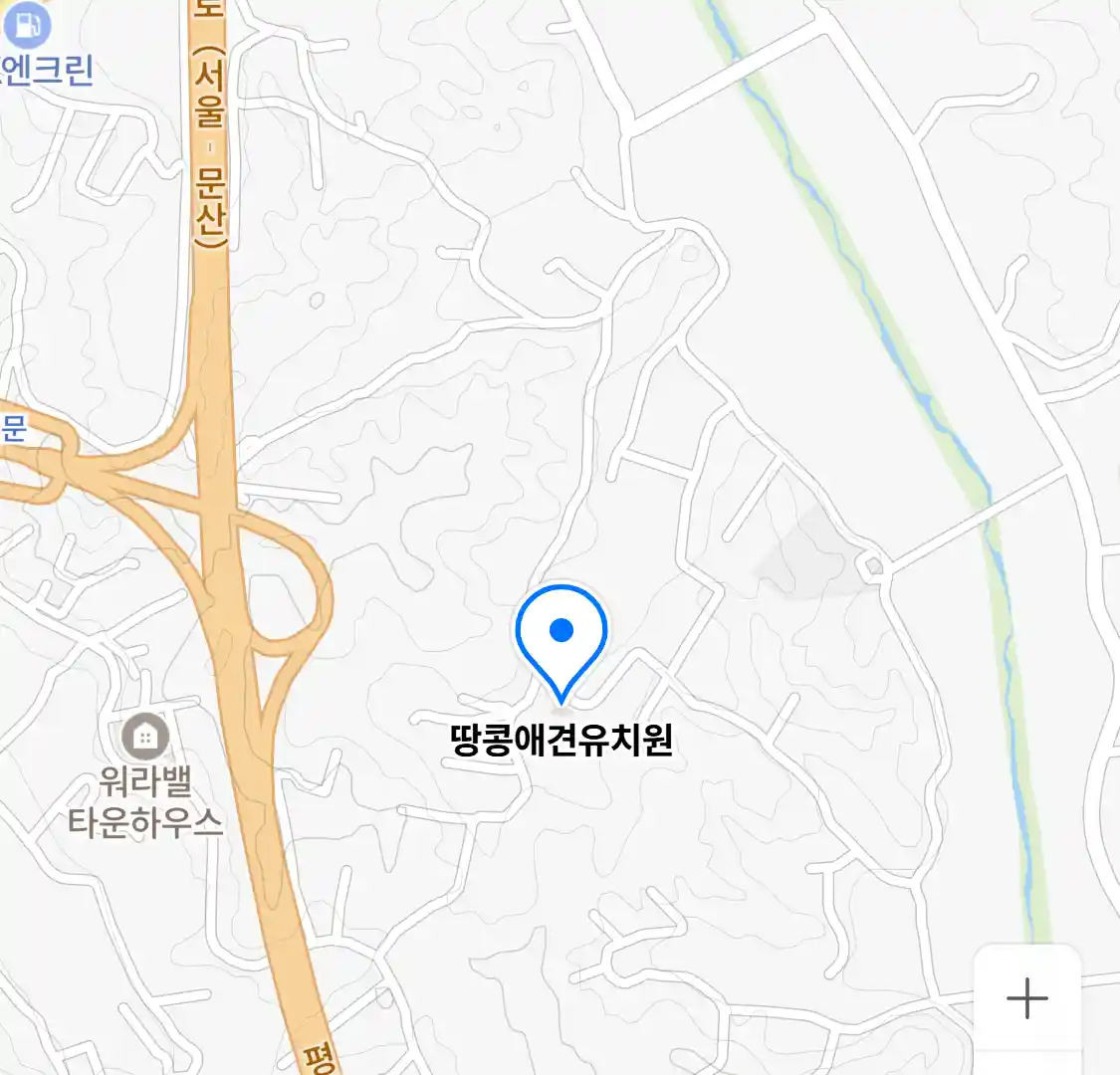 땅콩애견유치원 위치