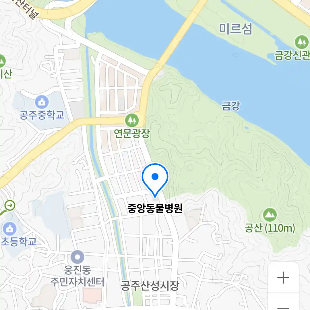 중앙동물병원 위치