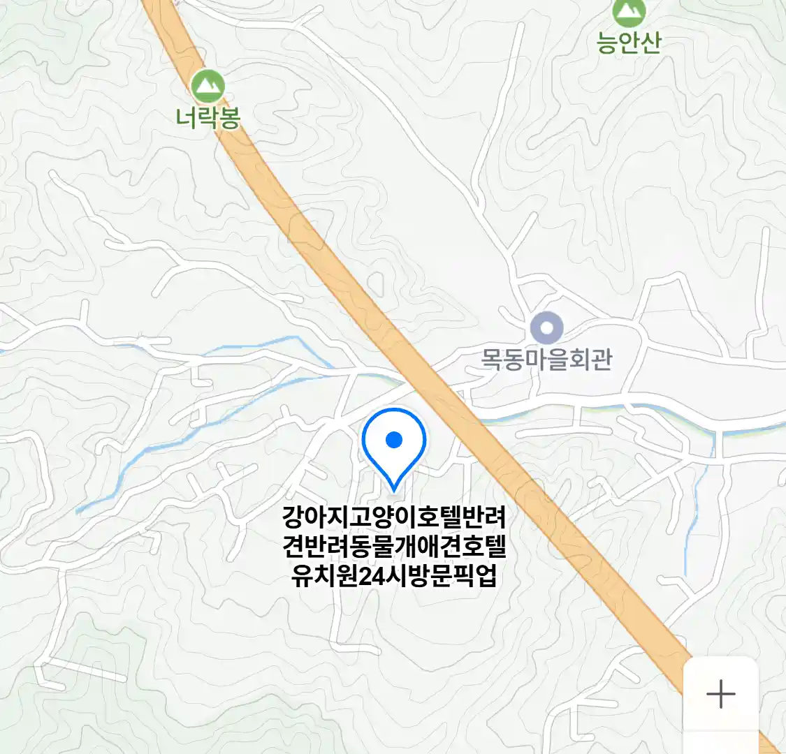 강아지고양이호텔반려견반려동물개애견호텔유치원24시방문픽업 위치