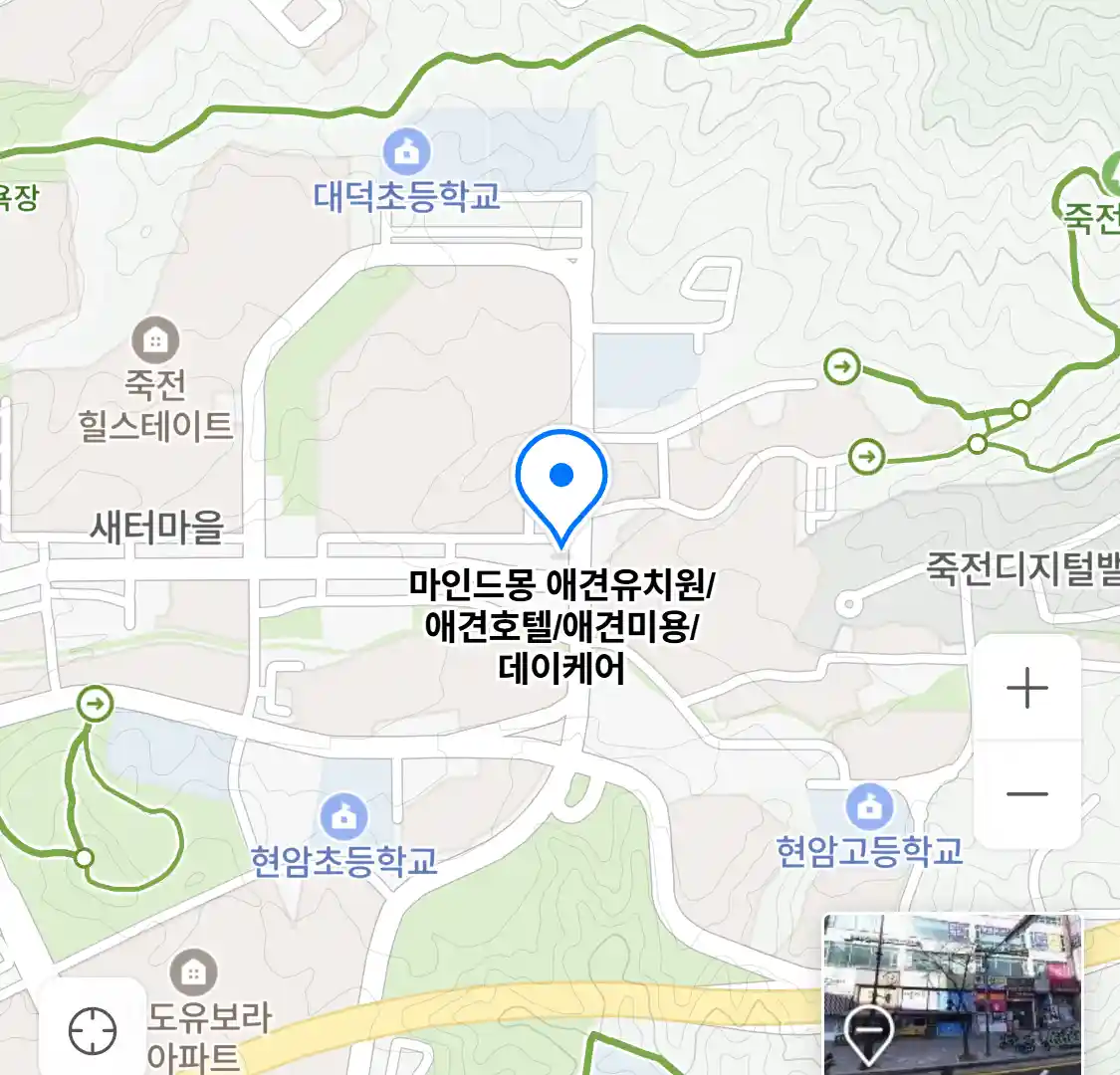 마인드몽 애견유치원/애견호텔/애견미용/데이케어 위치