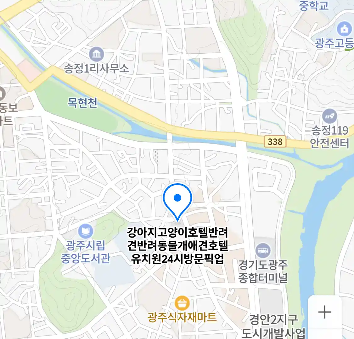 강아지고양이호텔반려견반려동물개애견호텔유치원24시방문픽업 위치