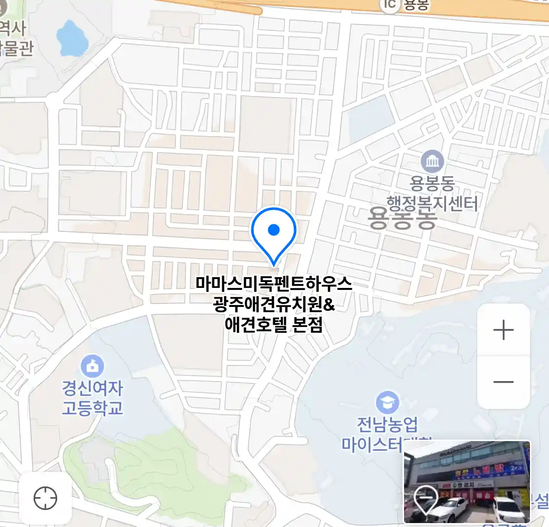 마마스미독펜트하우스 광주애견유치원&애견호텔 본점 위치