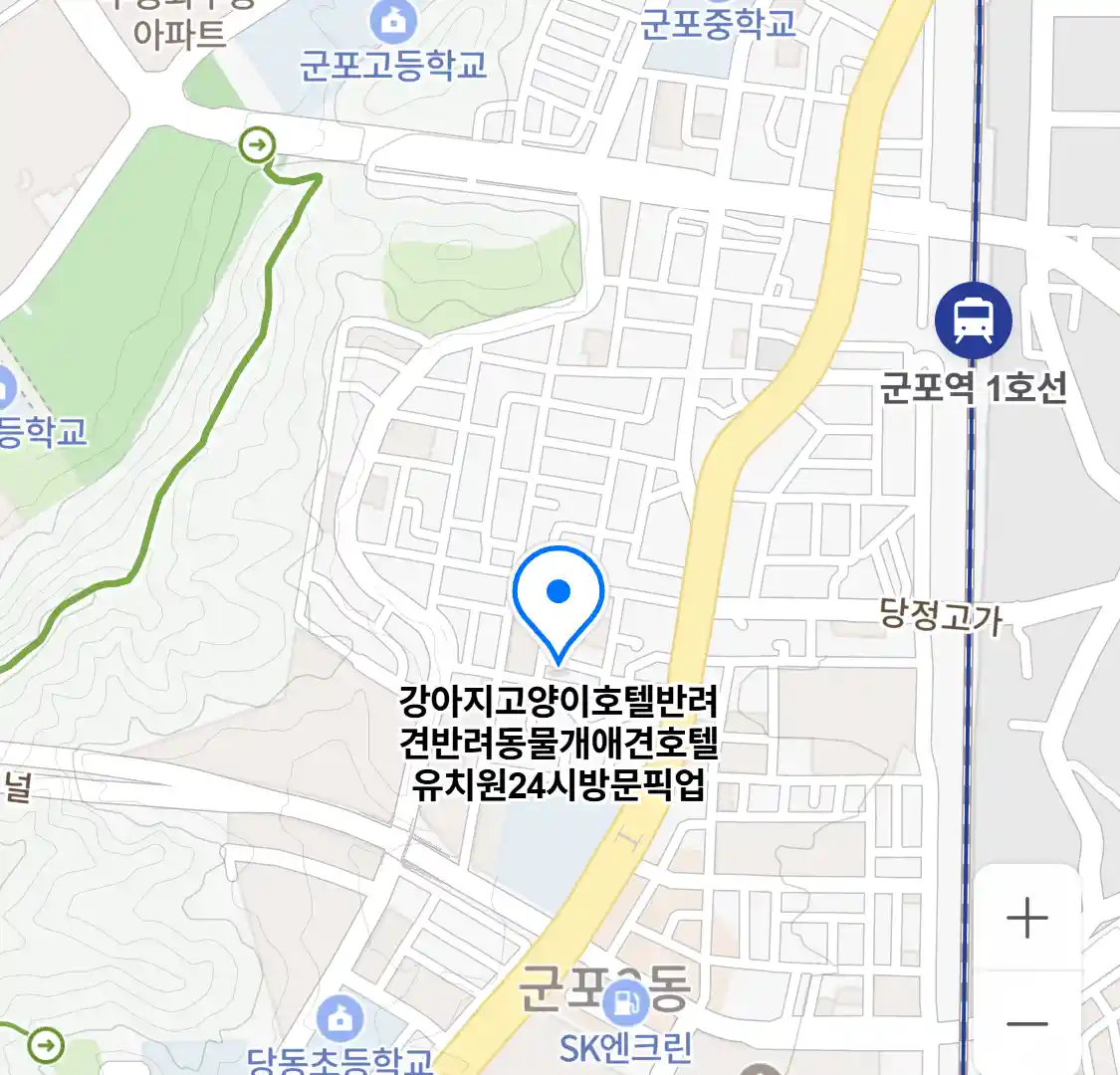 강아지고양이호텔반려견반려동물개애견호텔유치원24시방문픽업 위치
