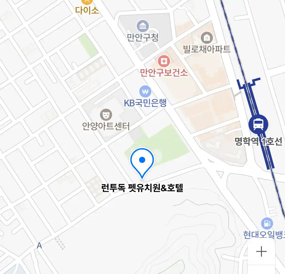 런투독 펫유치원&호텔 위치