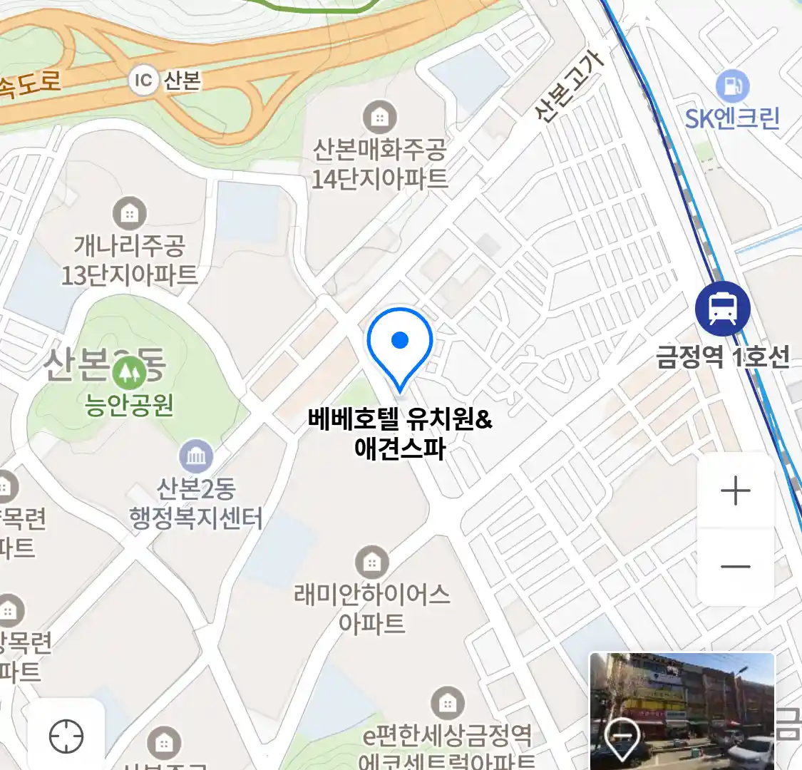 베베호텔 유치원&애견스파 위치