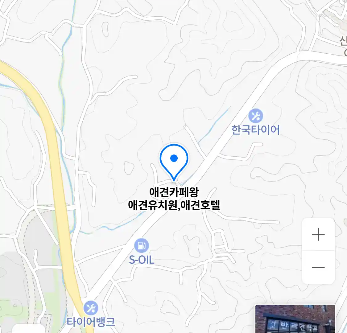 애견카페왕 애견유치원,애견호텔 위치