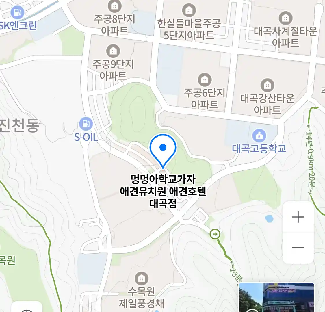 멍멍아학교가자 애견유치원 애견호텔 대곡점 위치