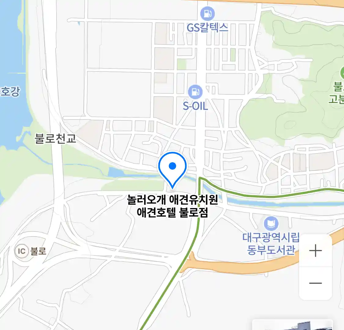 놀러오개 애견유치원 애견호텔 불로점 위치