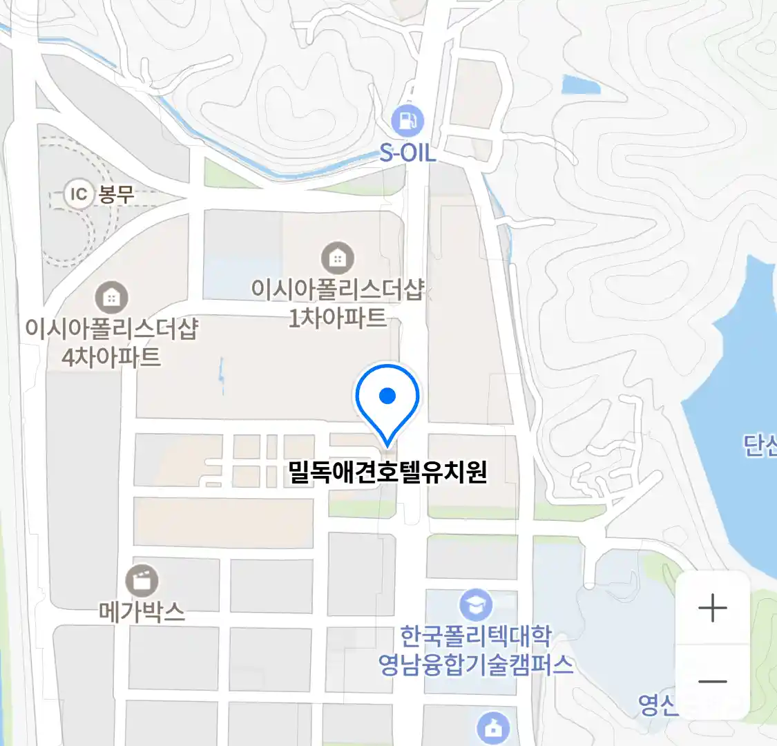 밀독애견호텔유치원 위치