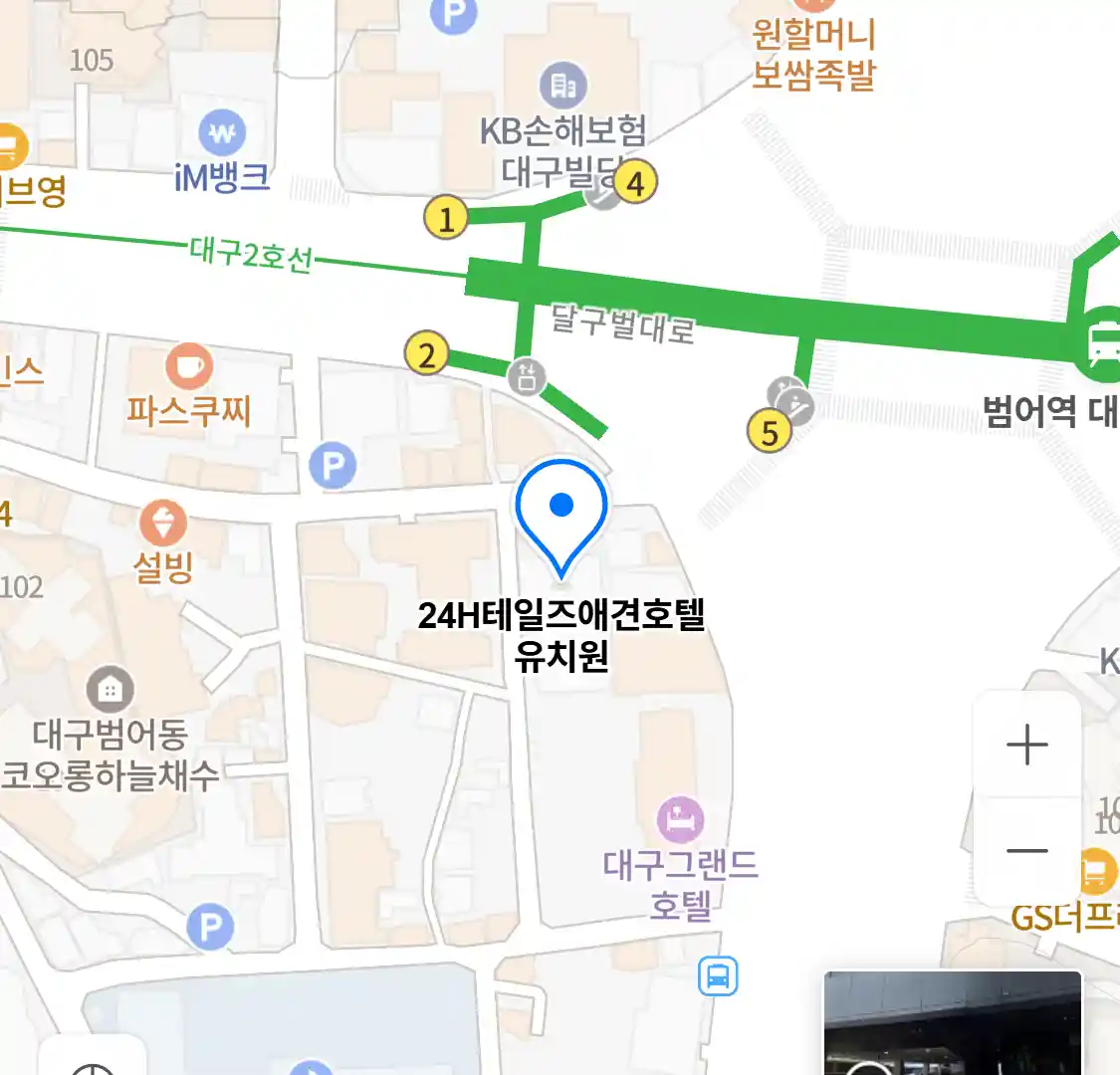 24H테일즈애견호텔 유치원 위치