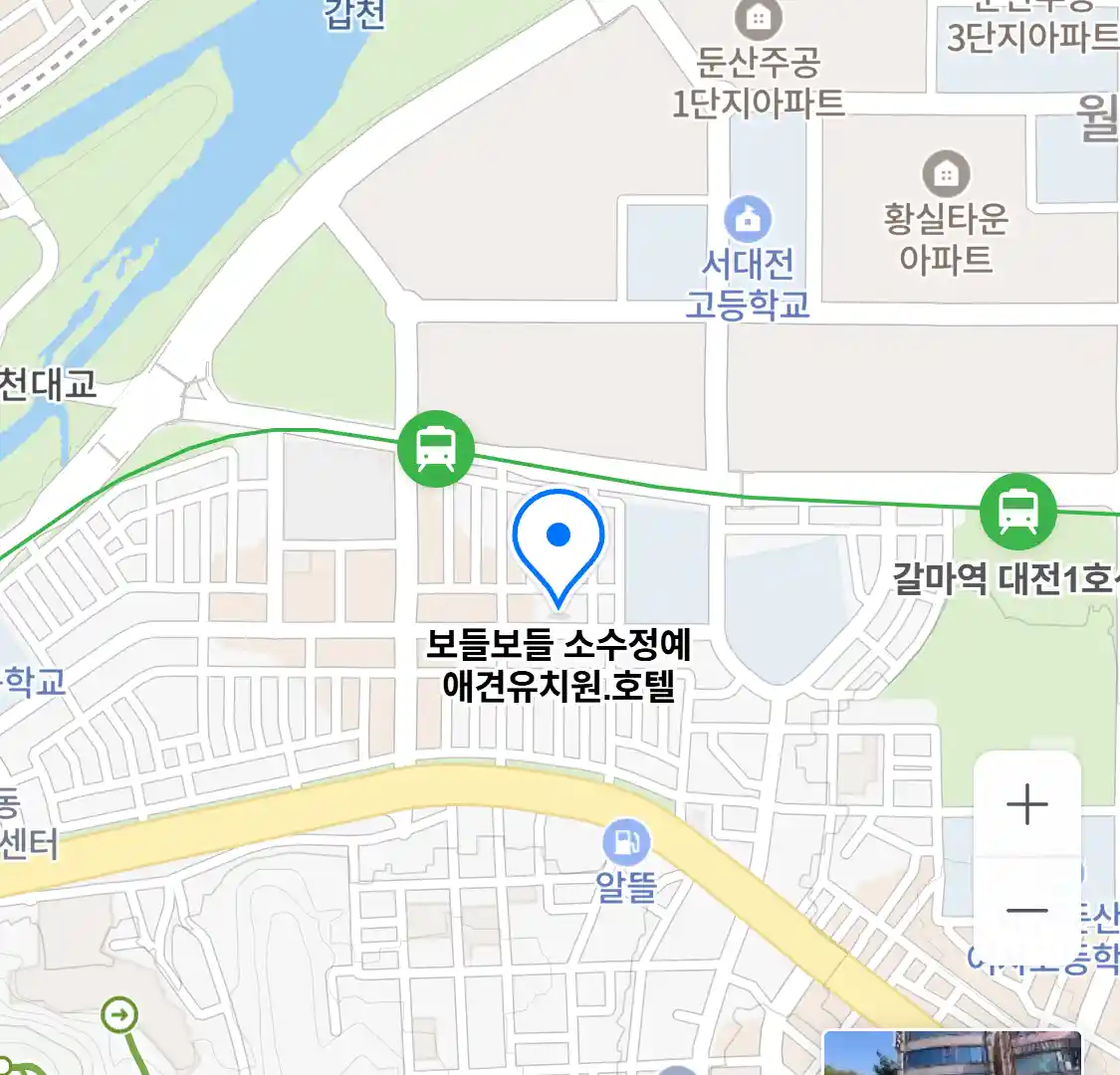 보들보들 소수정예 애견유치원.호텔 위치