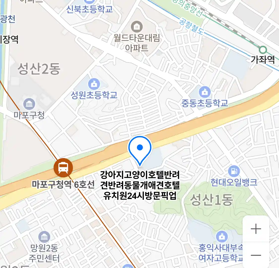 강아지고양이호텔반려견반려동물개애견호텔유치원24시방문픽업 위치