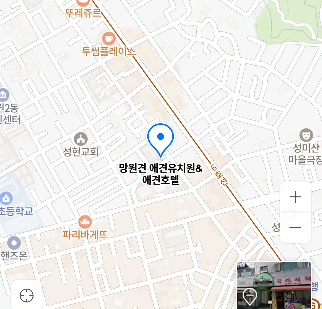 망원견 애견유치원&애견호텔 위치