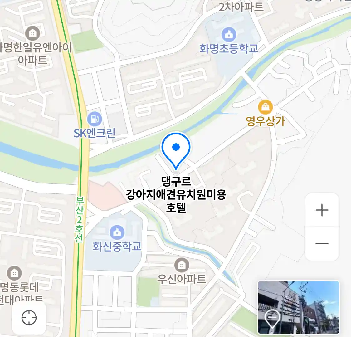 댕구르 강아지애견유치원미용호텔 지도