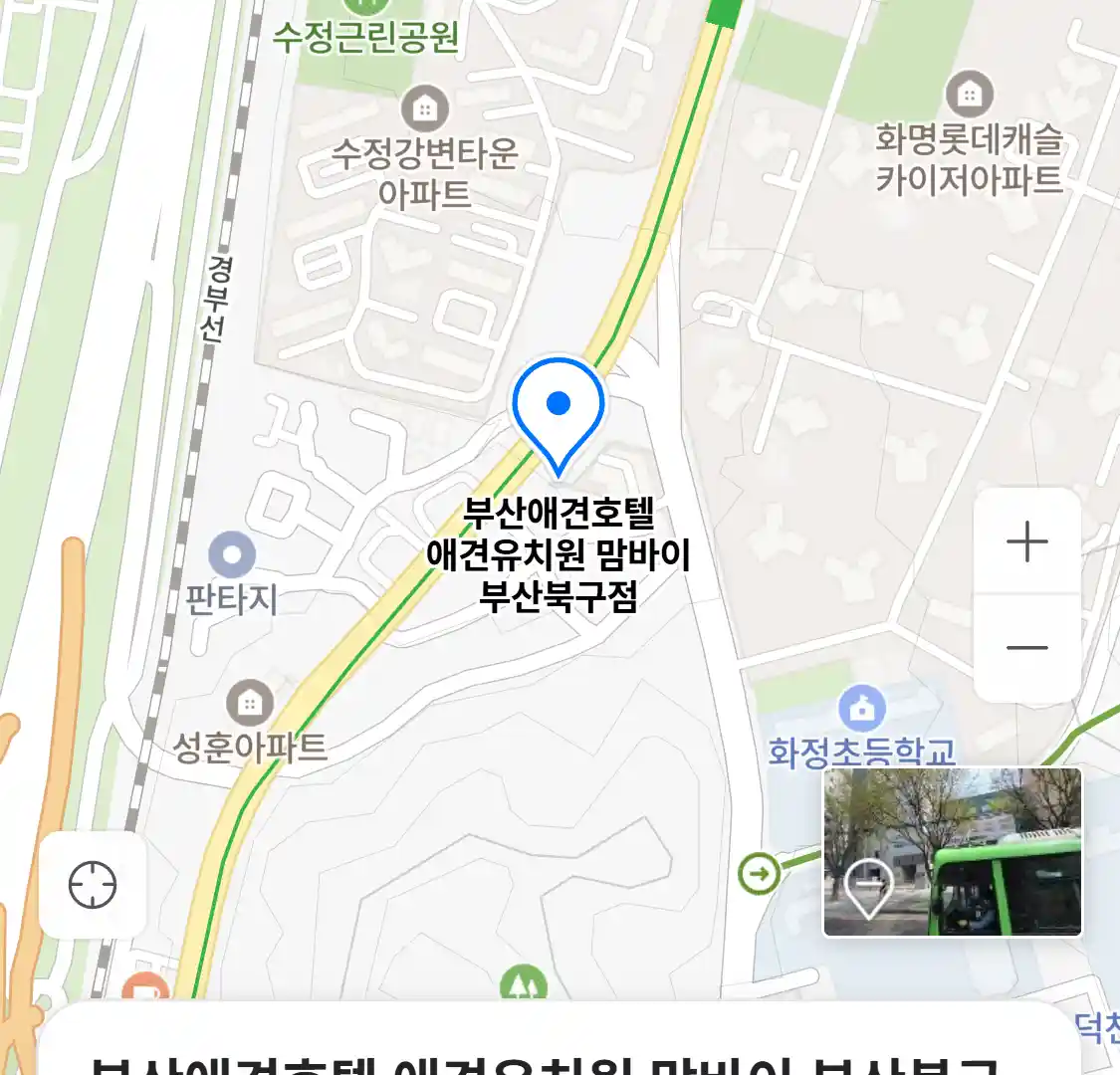 부산애견호텔 애견유치원 맘바이 부산북구점 지도