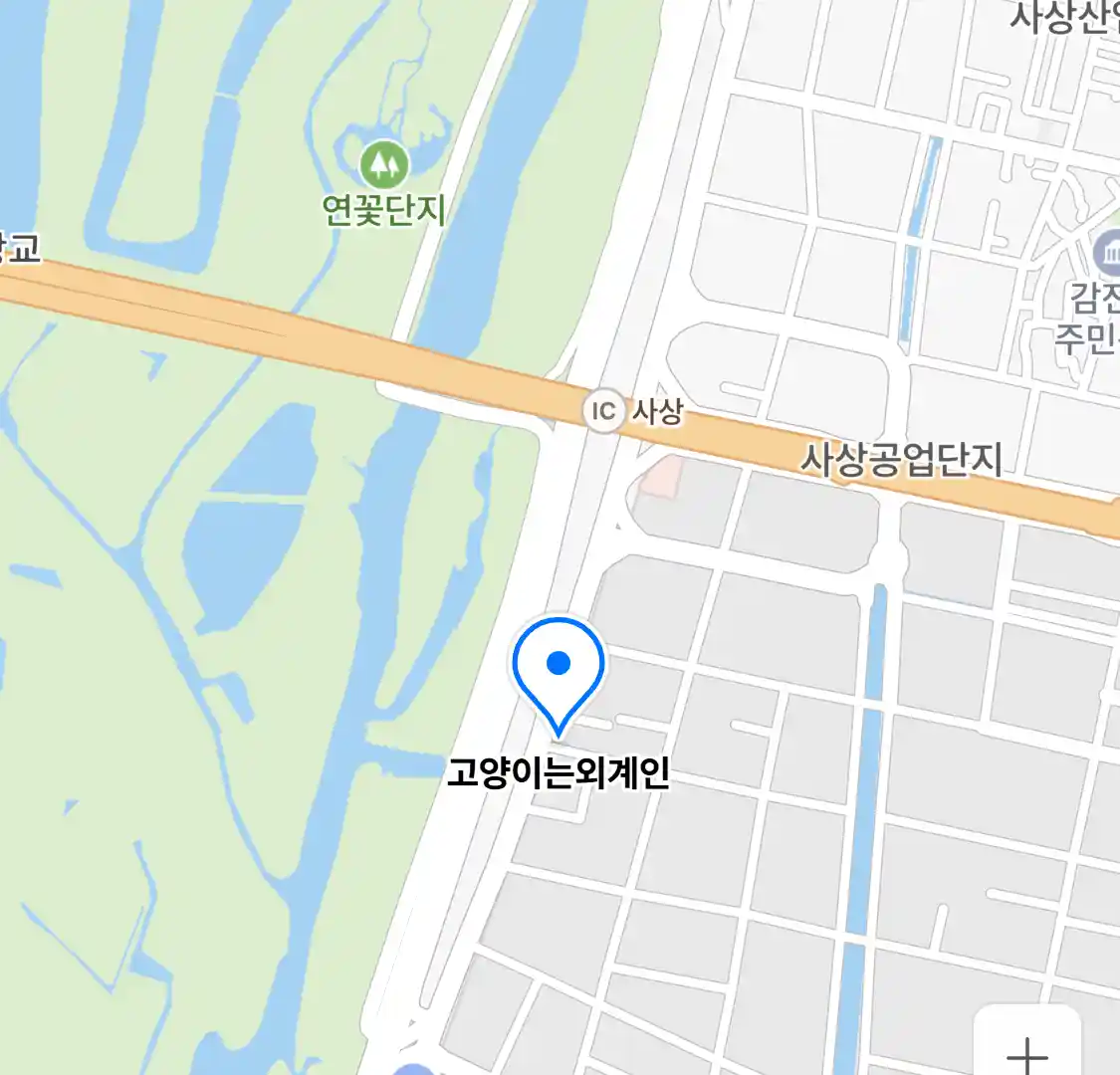 고양이는외계인 위치