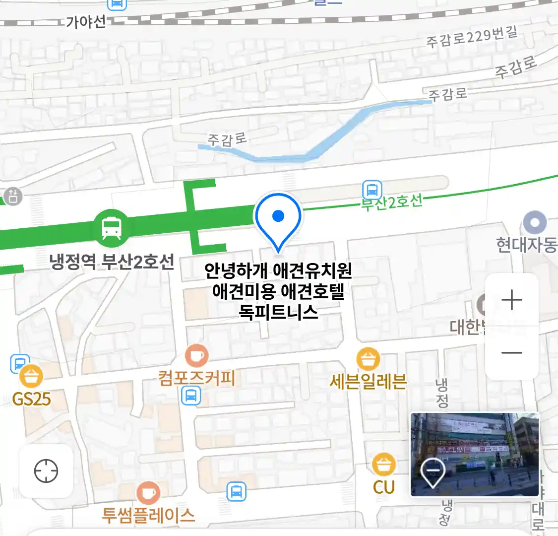 안녕하개 애견유치원 애견미용 애견호텔 독피트니스 위치