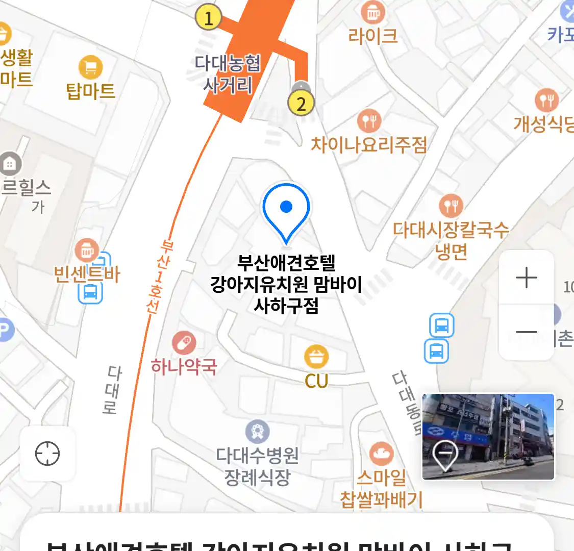 부산애견호텔 강아지유치원 맘바이 사하구점 위치
