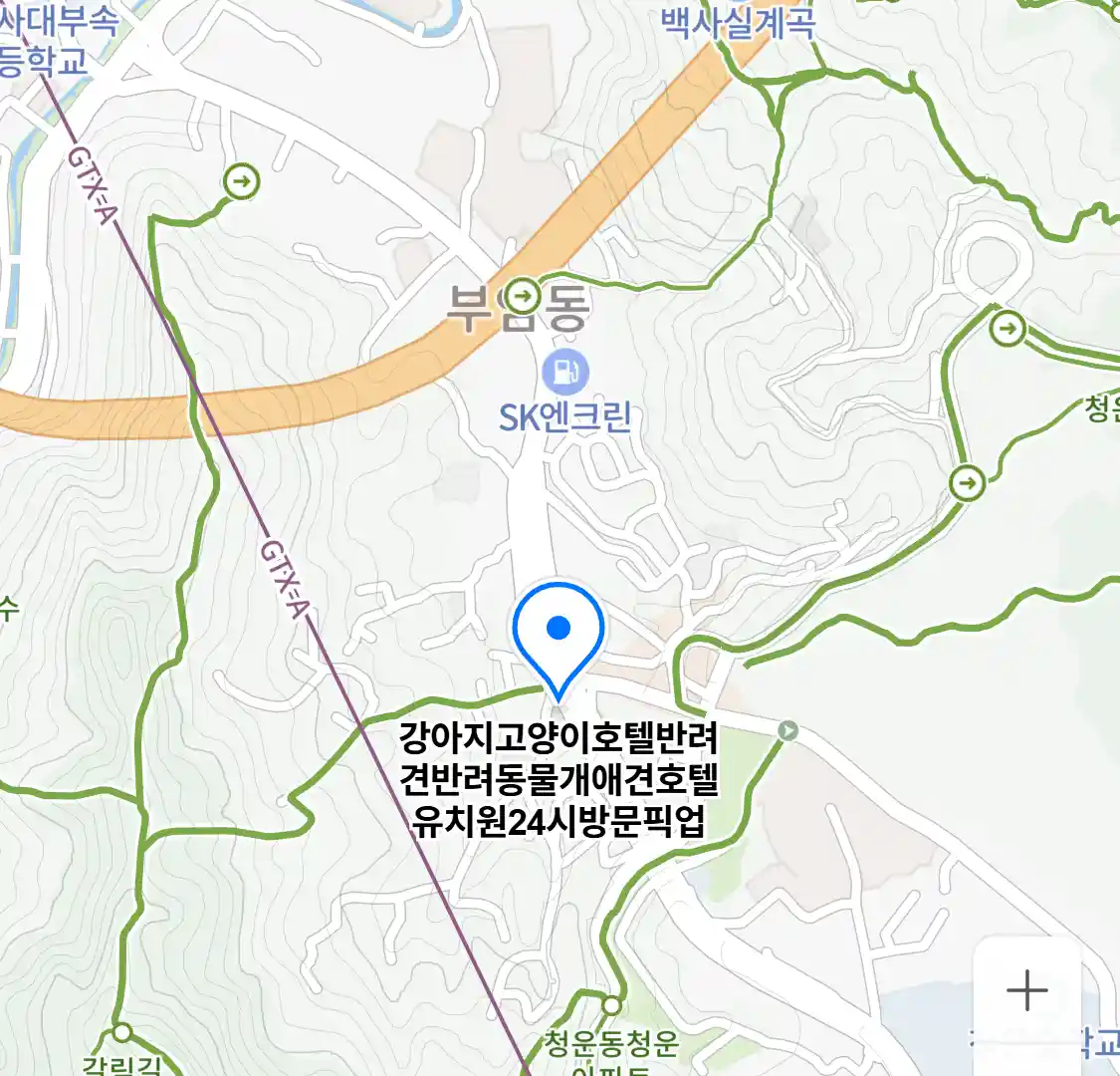 강아지고양이호텔반려견반려동물개애견호텔유치원24시방문픽업 위치