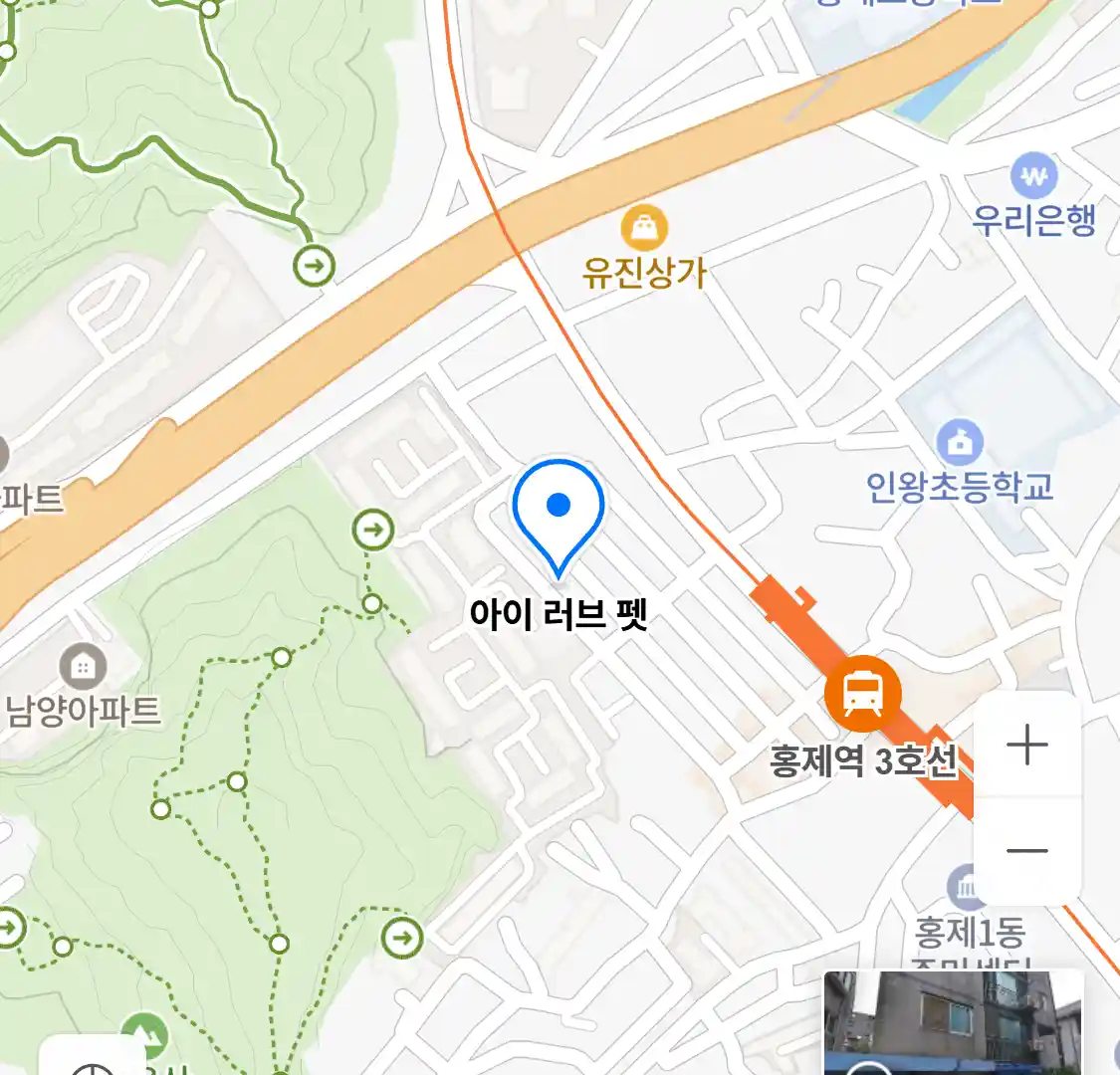 아이 러브 펫 위치