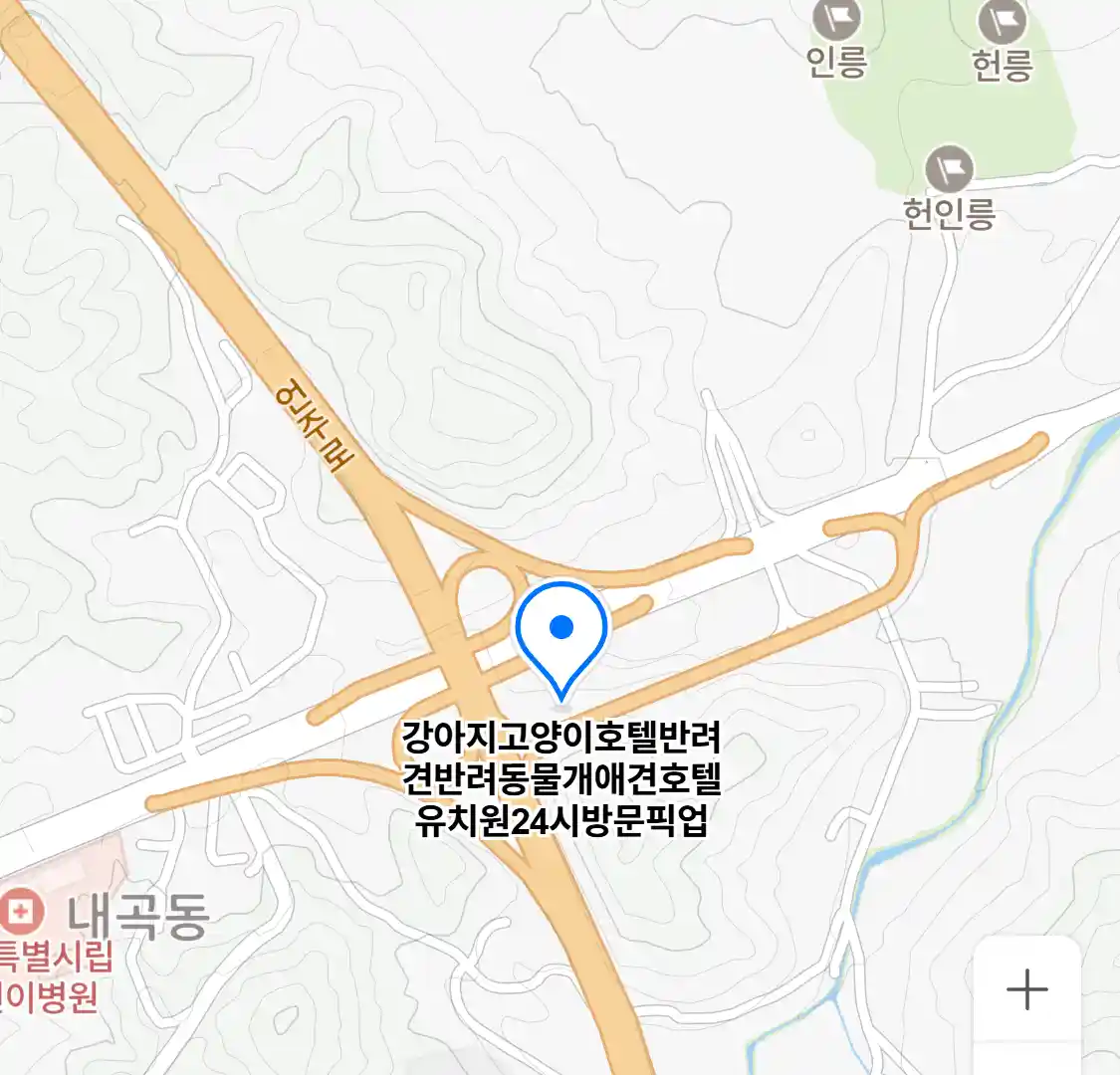 강아지고양이호텔반려견반려동물개애견호텔유치원24시방문픽업 (내곡동) 위치