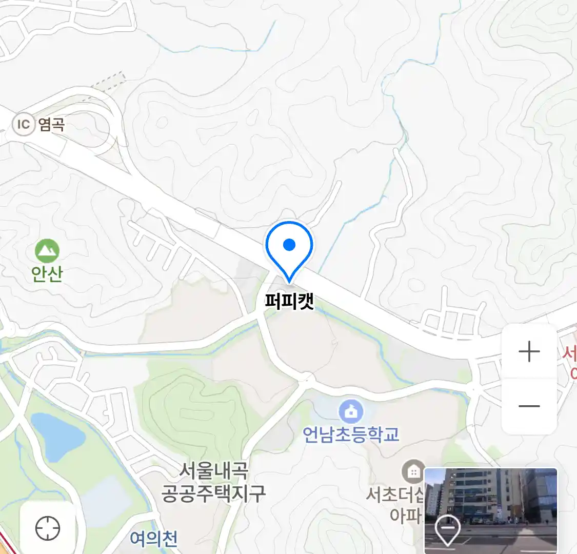 퍼피캣 위치
