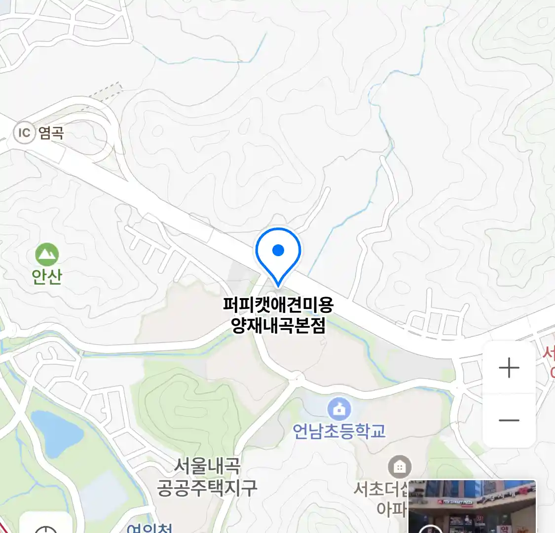 퍼피캣애견미용 양재내곡본점 위치