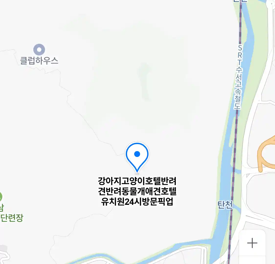 강아지고양이호텔반려견반려동물개애견호텔유치원24시방문픽업 위치