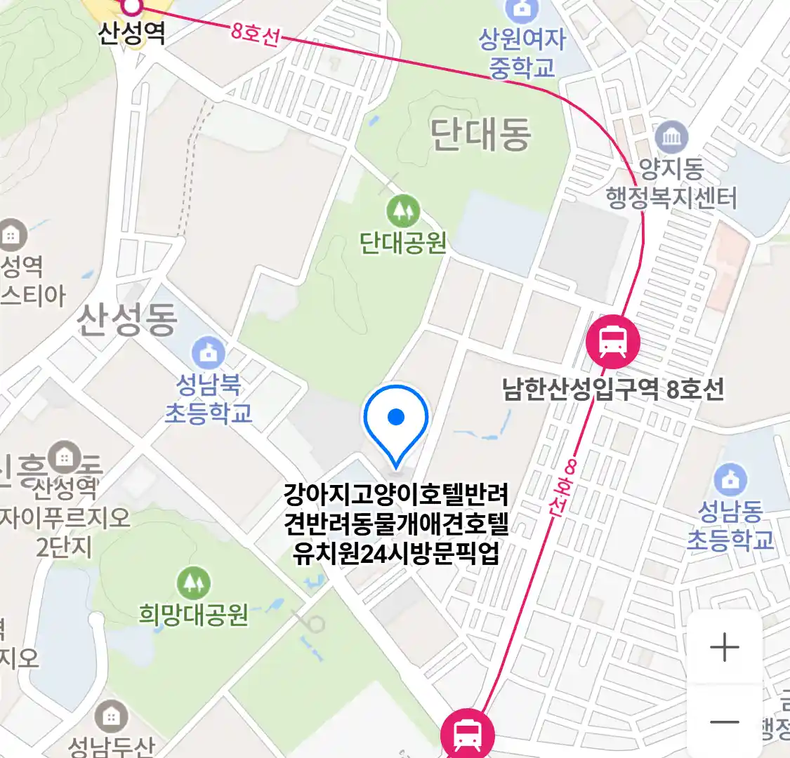 강아지고양이호텔반려견반려동물개애견호텔유치원24시방문픽업(둔전동) 위치