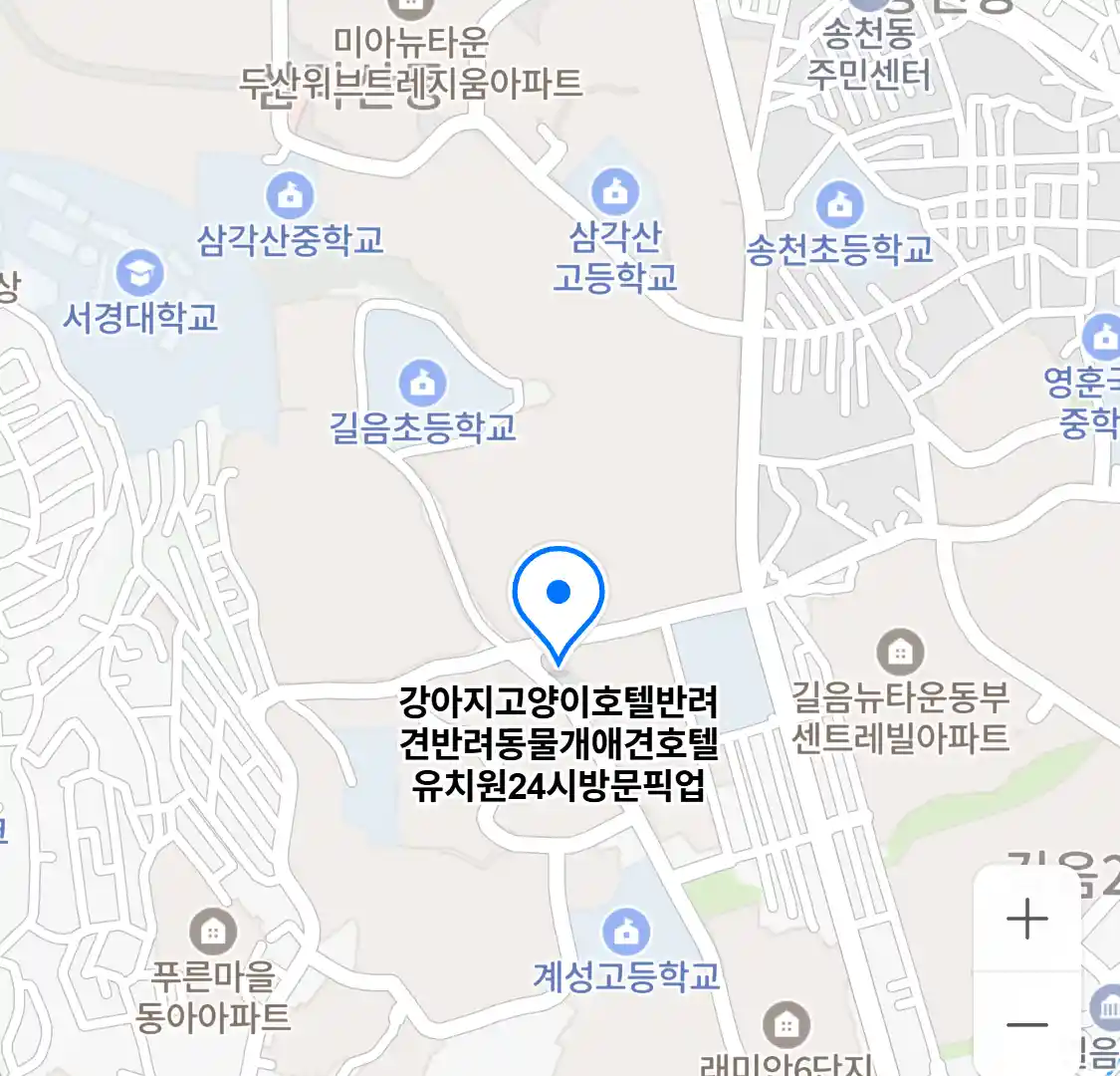 강아지고양이호텔반려견반려동물개애견호텔유치원24시방문픽업 위치