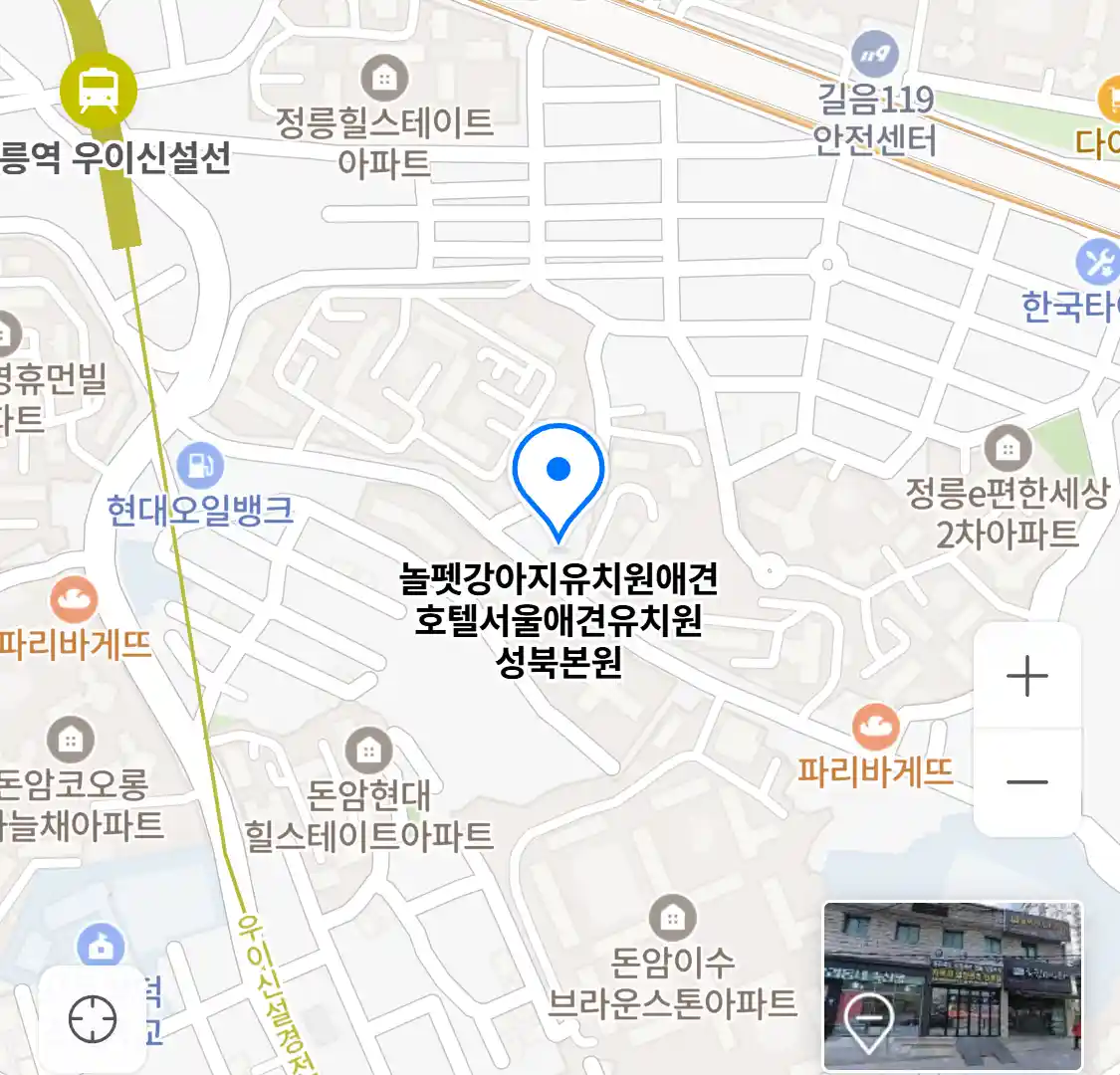 놀펫강아지유치원애견호텔서울애견유치원 성북본원 위치