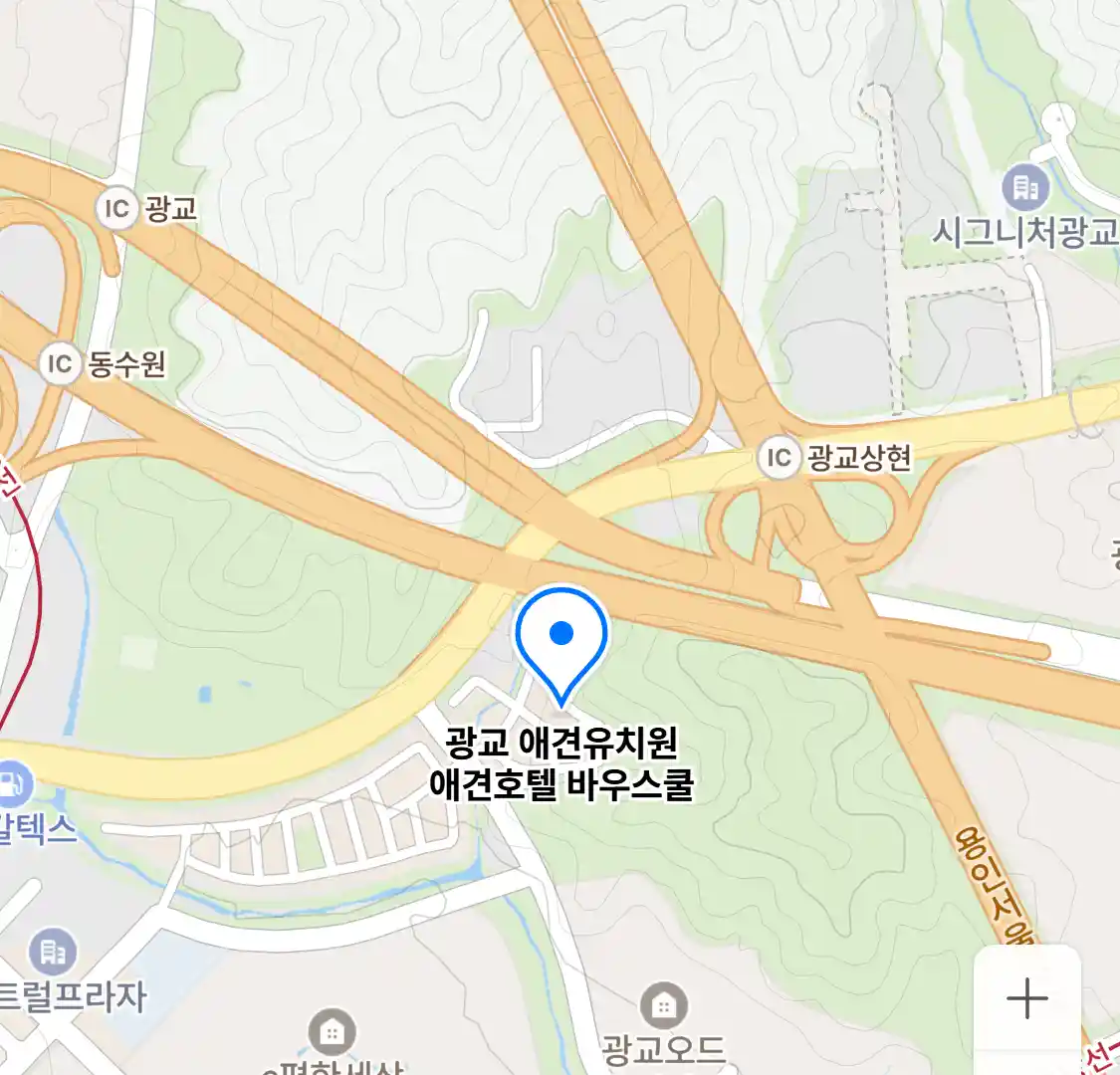 광교 애견유치원 애견호텔 바우스쿨 위치