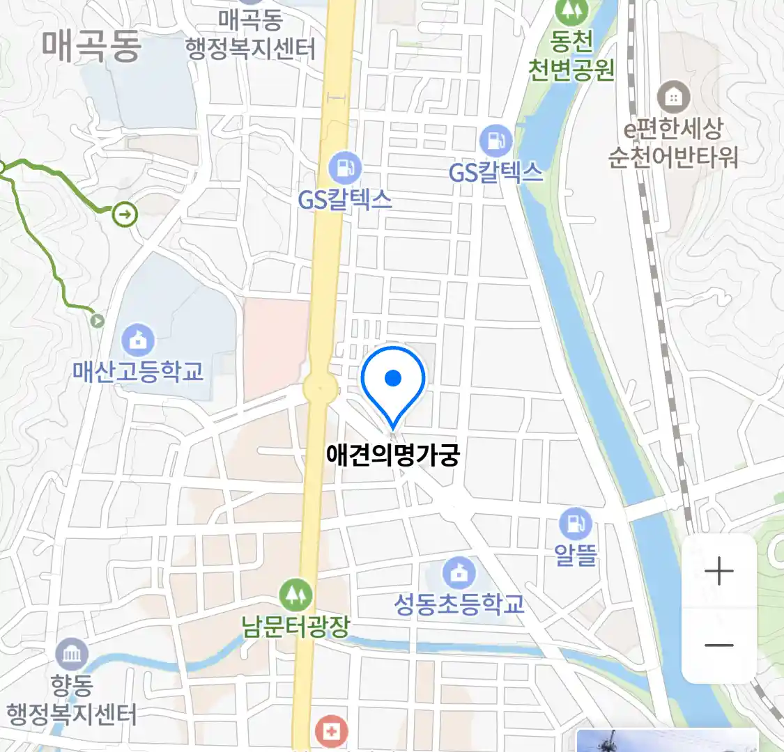 애견의명가궁 위치