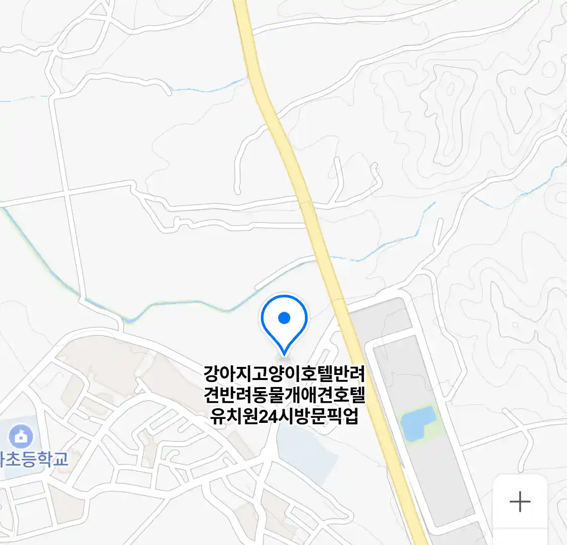 강아지고양이호텔반려견반려동물개애견호텔유치원24시방문픽업