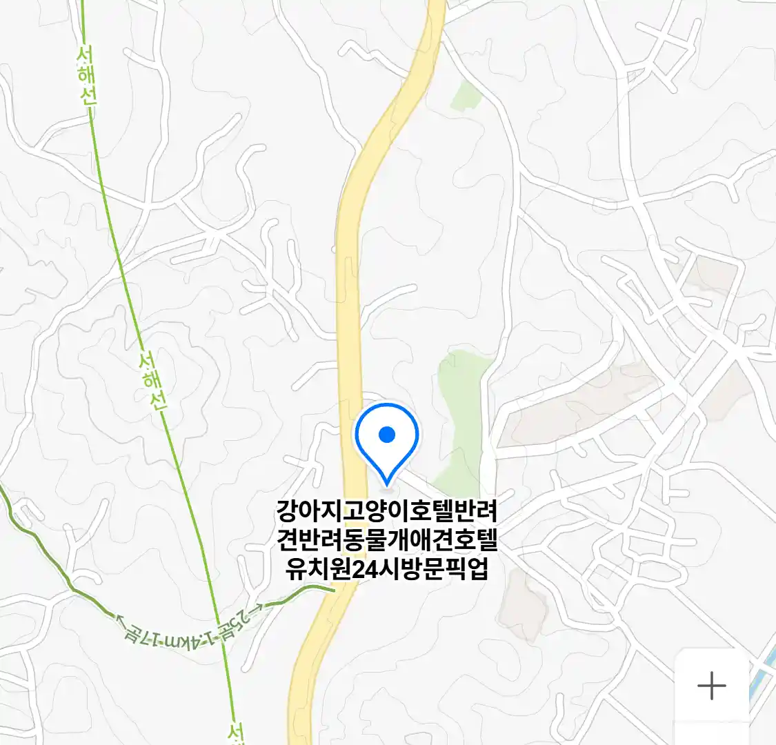 강아지고양이호텔반려견반려동물개애견호텔유치원24시방문픽업 위치