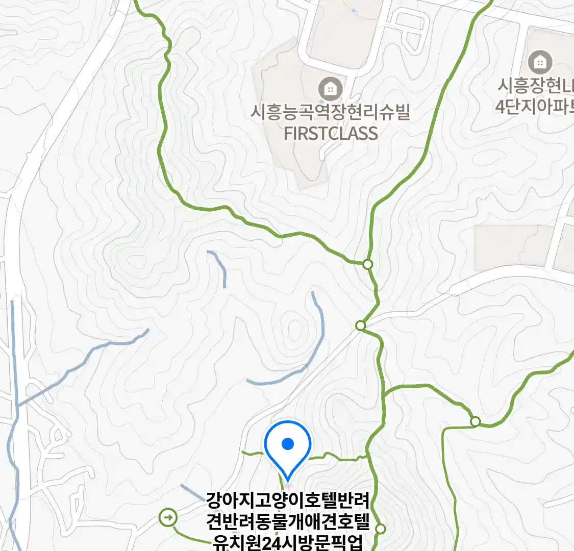 강아지고양이호텔반려견반려동물개애견호텔유치원24시방문픽업 위치