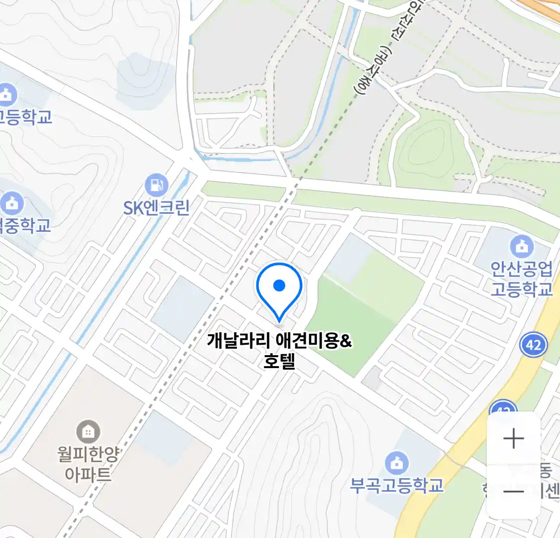 개날라리 애견미용&호텔 위치