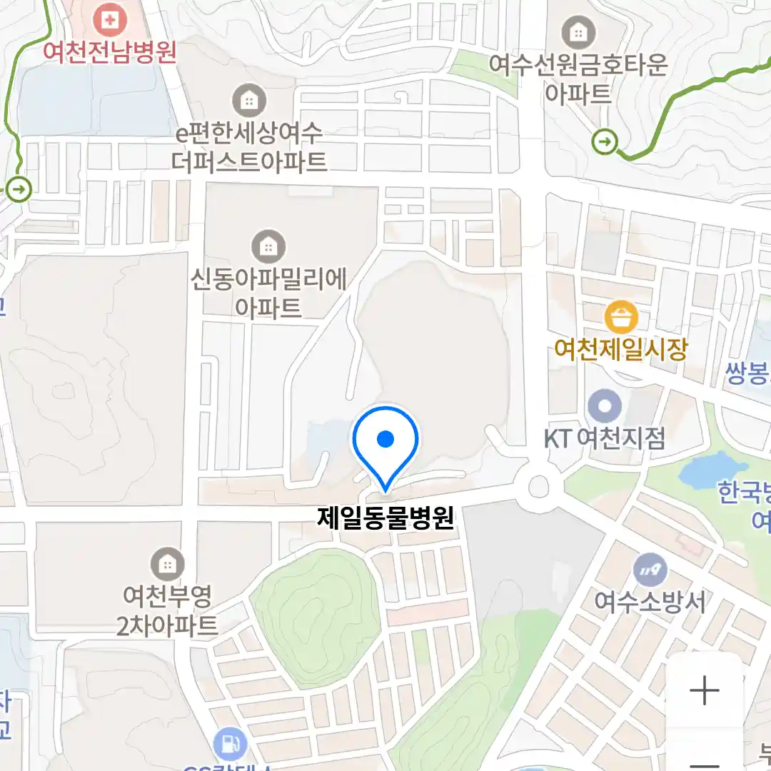 제일동물병원 위치