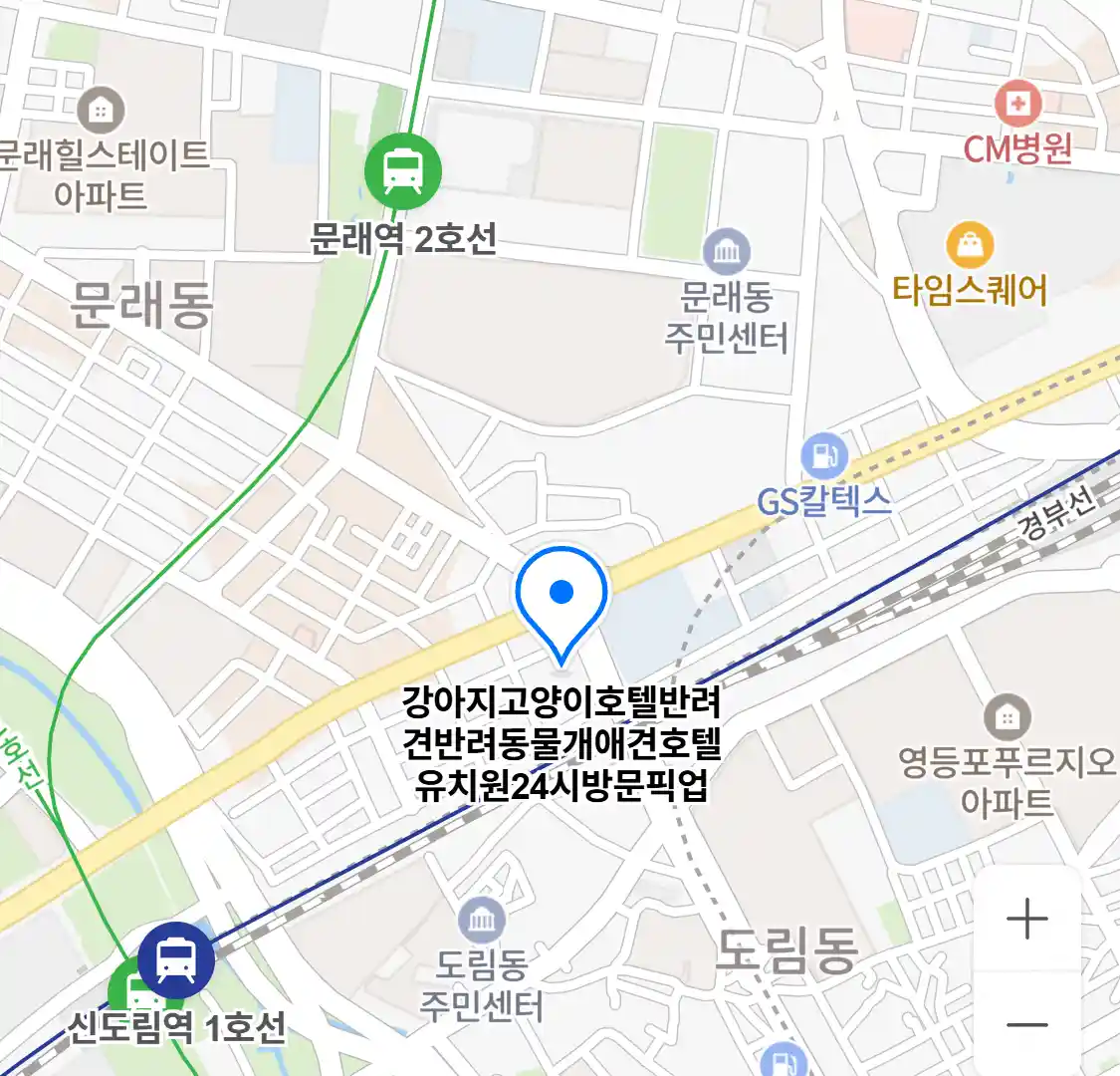 강아지고양이호텔반려견반려동물개애견호텔유치원24시방문픽업 위치