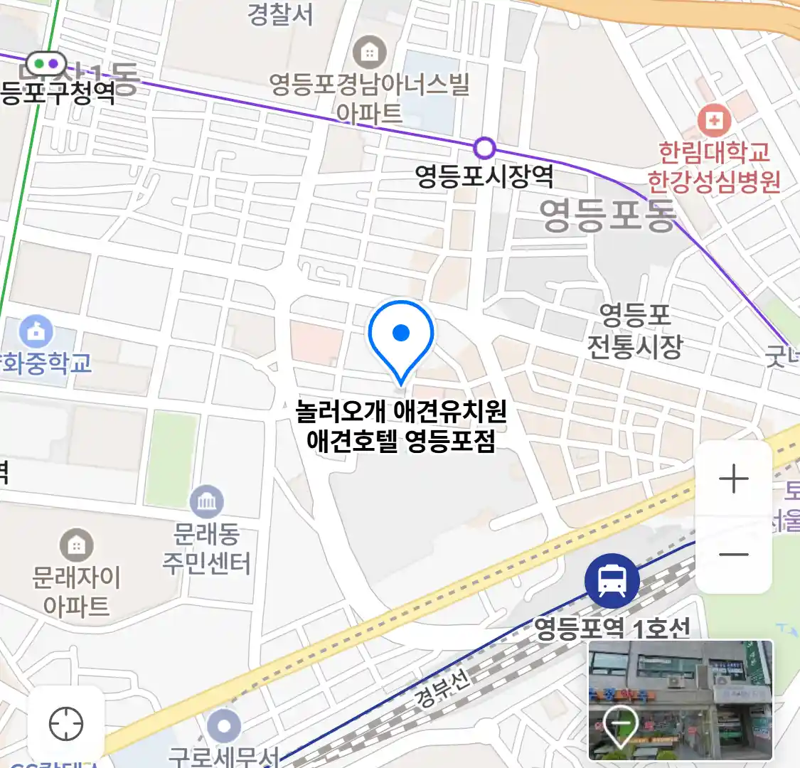 놀러오개 애견유치원 애견호텔 영등포점 위치