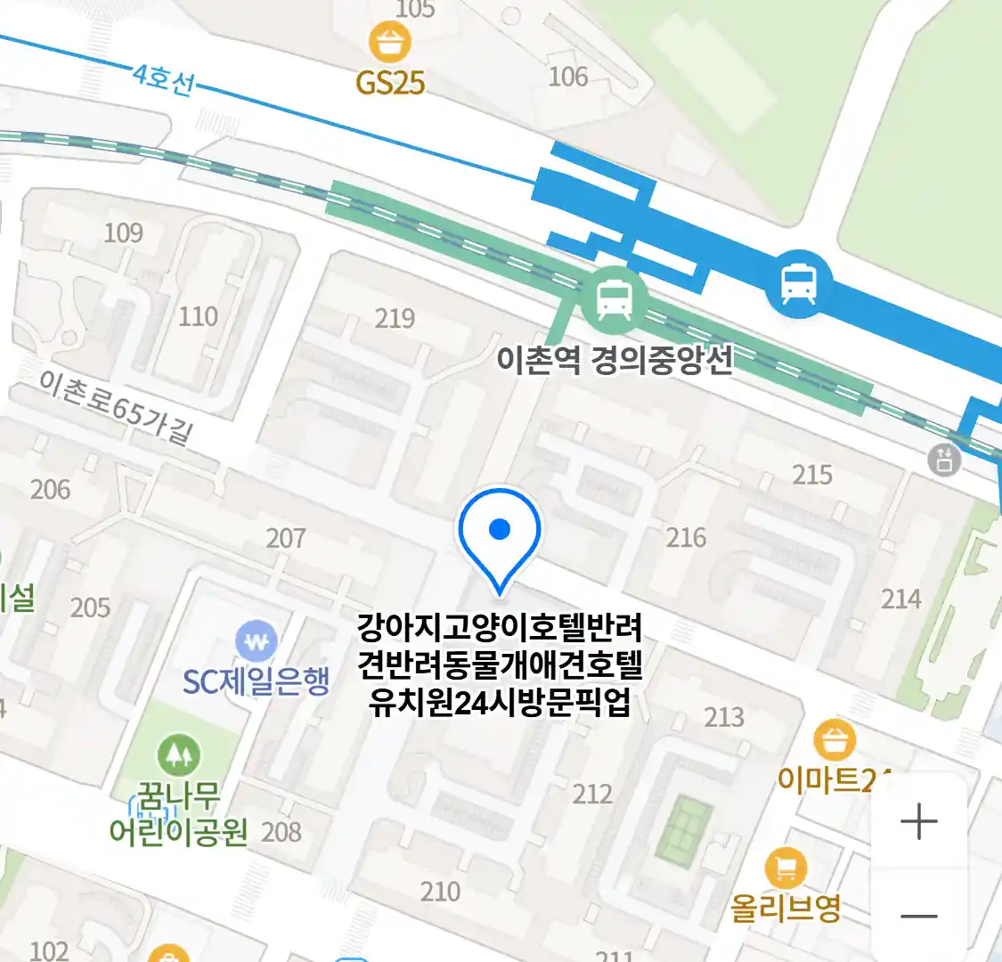 강아지고양이호텔반려견반려동물개애견호텔유치원24시방문픽업 위치