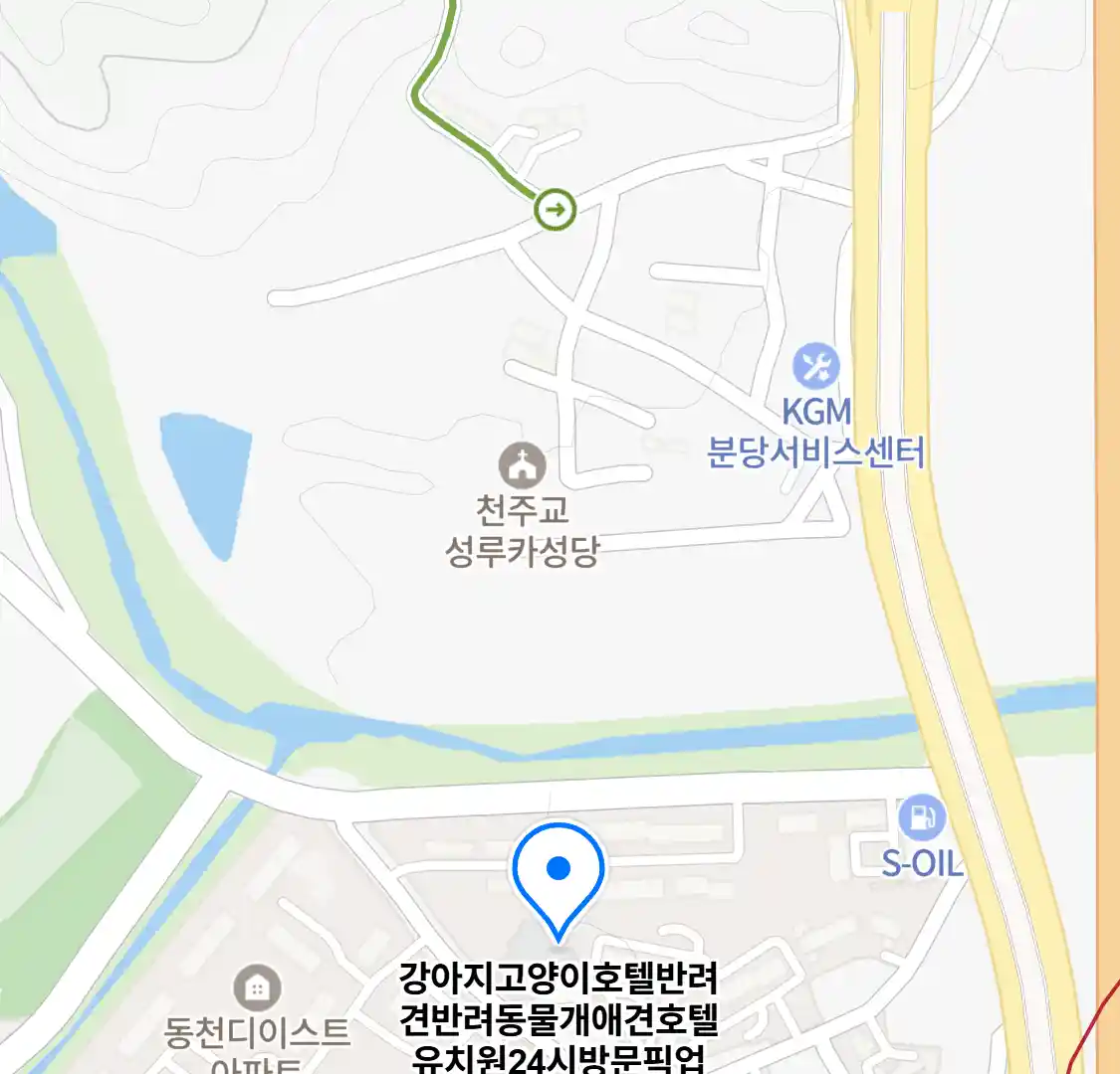 강아지고양이호텔반려견반려동물개애견호텔유치원24시방문픽업 위치
