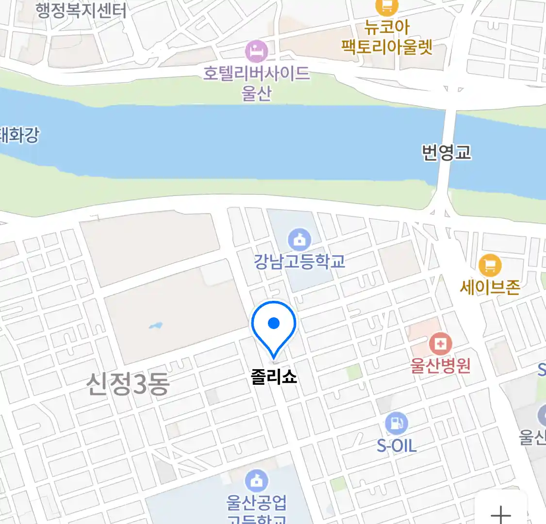 졸리쇼 위치