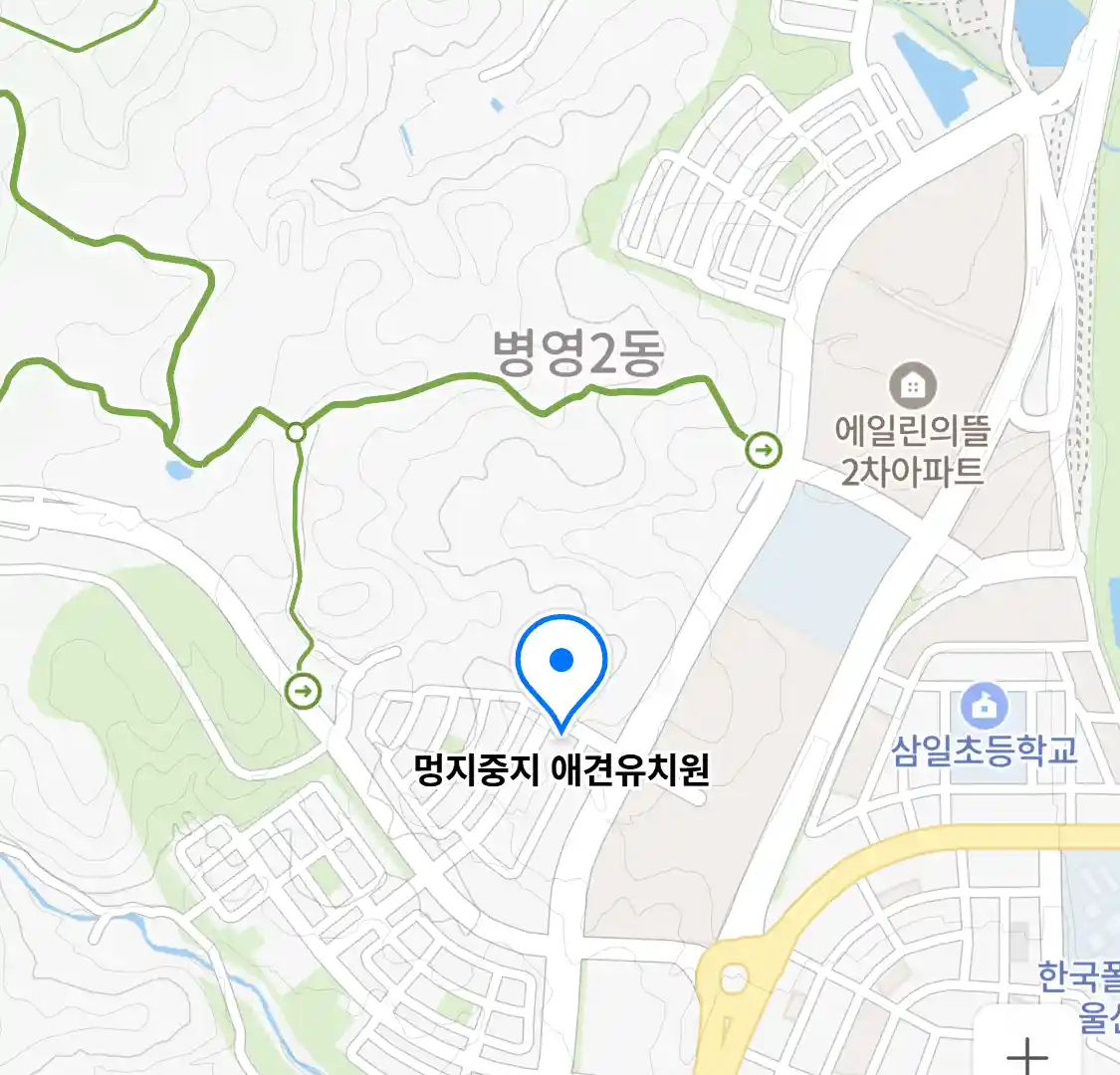 멍지중지 애견유치원 위치